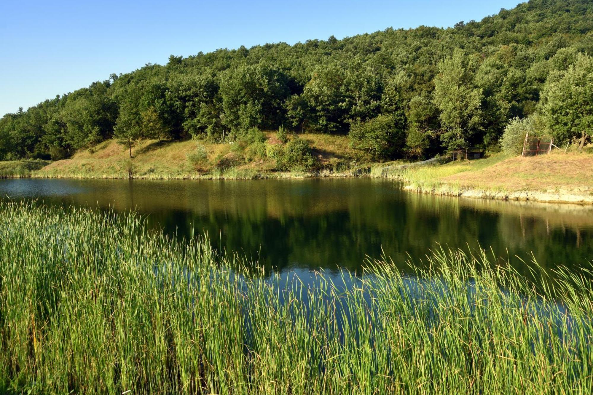 Baciano Azienda Agrituristico Venatoria Capolona Exteriör bild