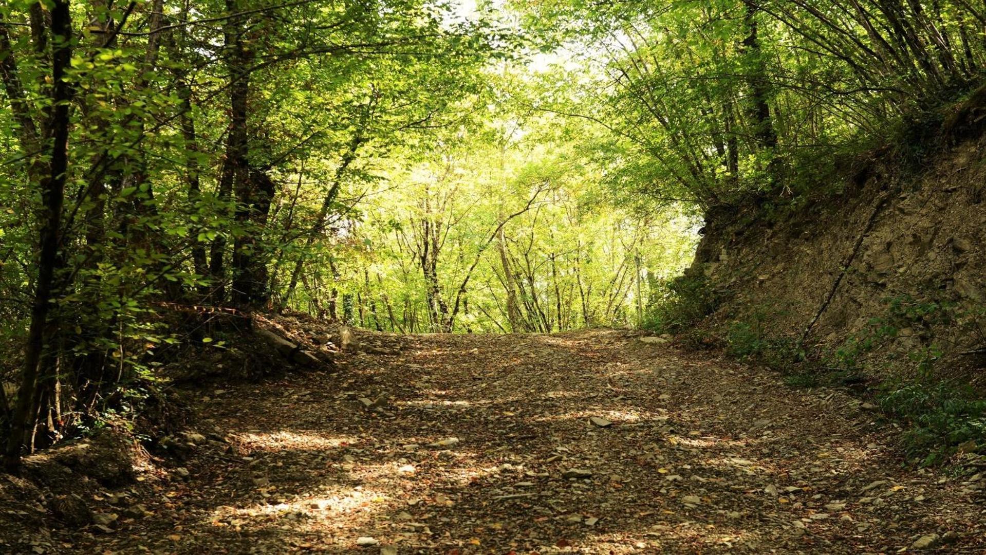 Baciano Azienda Agrituristico Venatoria Capolona Exteriör bild